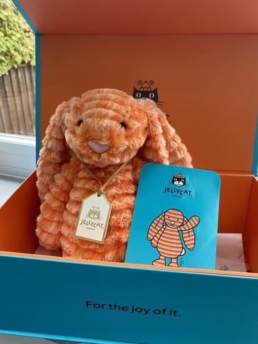 Jellycat fuzzleskip bunny with - jellycat,