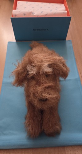 Jellycat exclusive - jellycat,